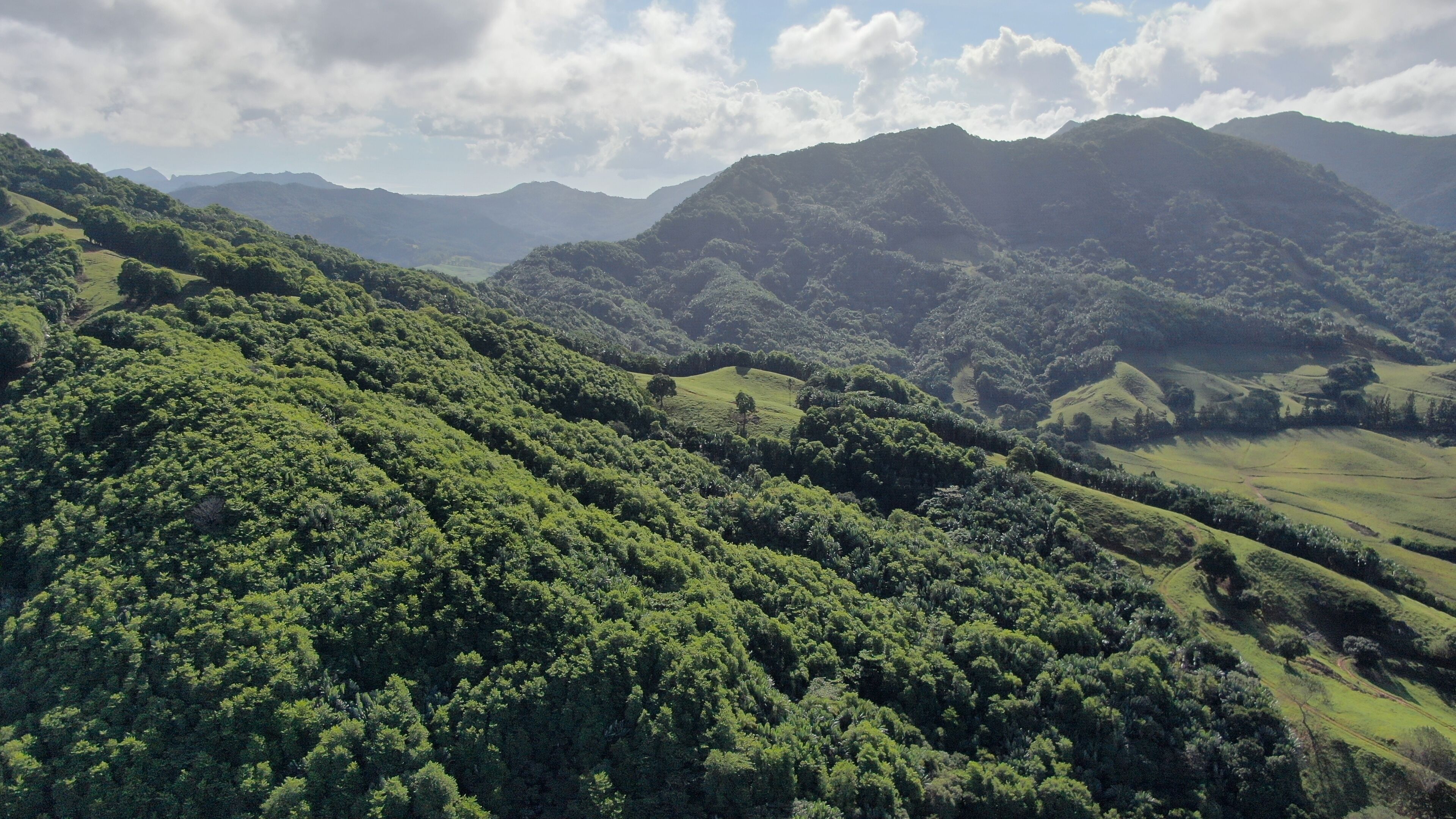 A lush green valley with rolling hills and distant mountains under a partly cloudy sky.