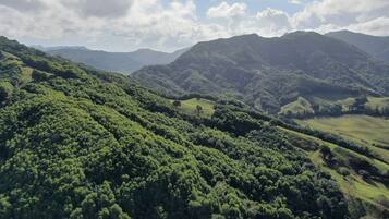 A lush green valley with rolling hills and distant mountains under a partly cloudy sky.