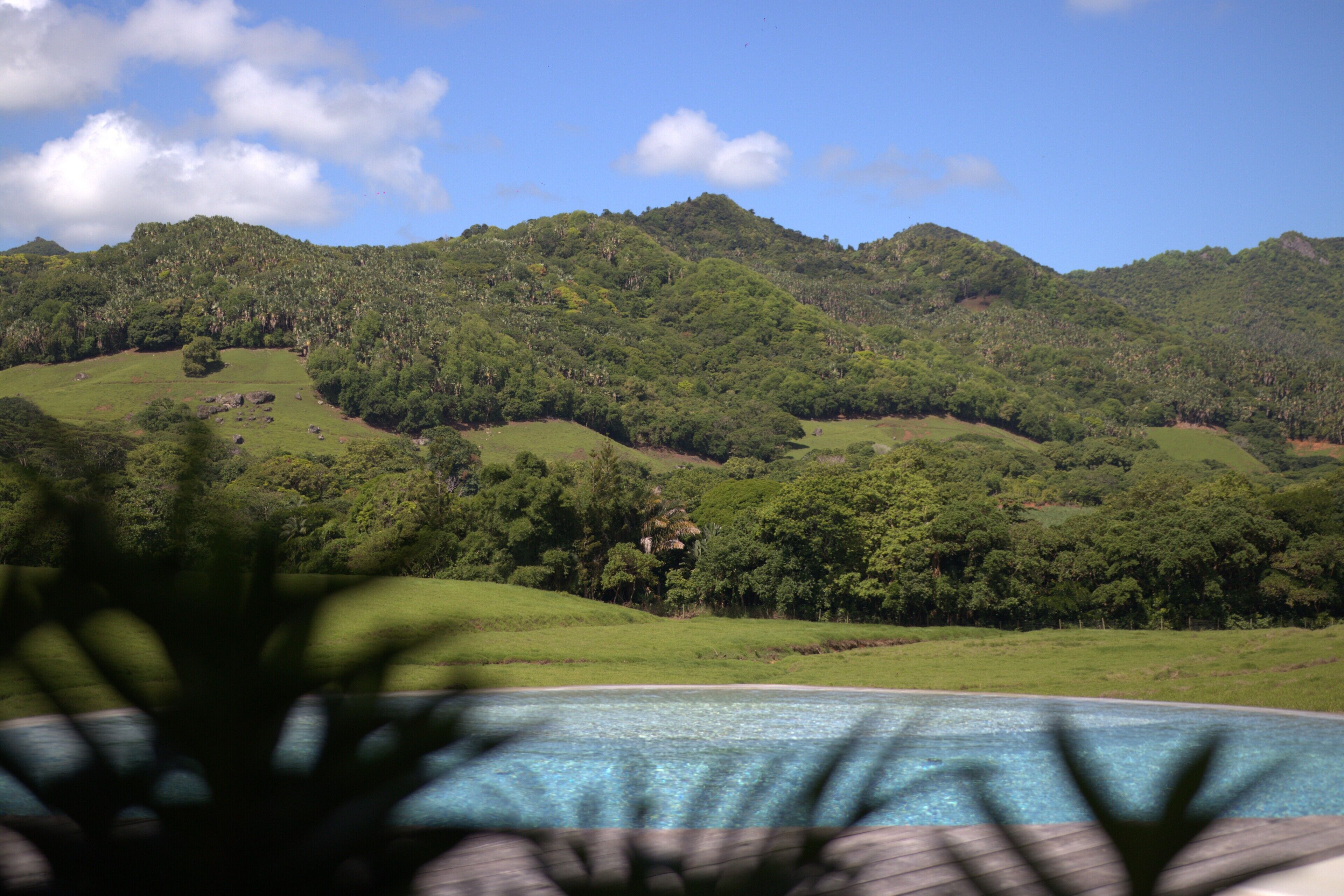 Foto - Ferney Nature Lodge