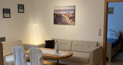 Apartment close to the center + free parking