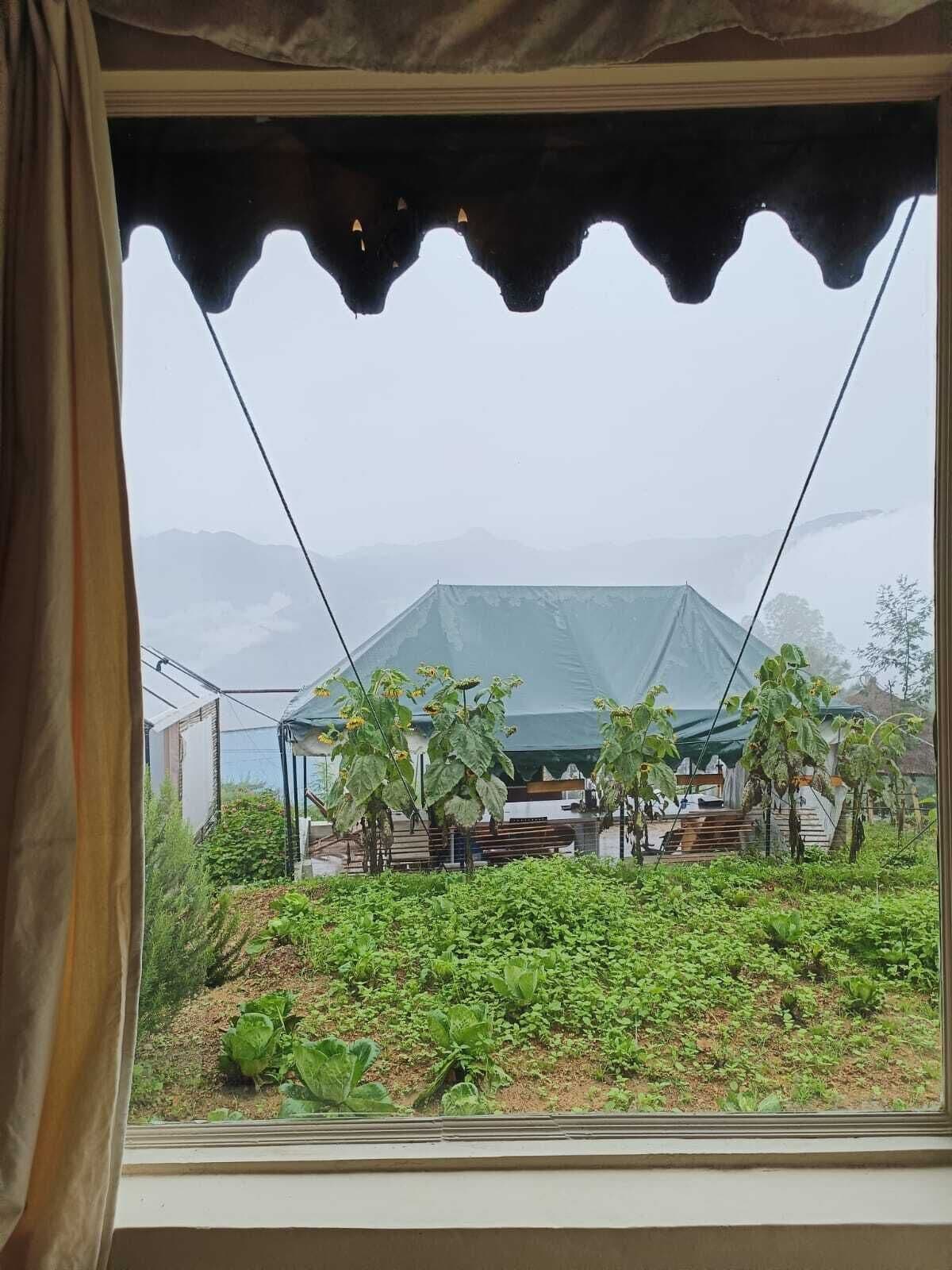 A window view of a greenhouse with a green roof, surrounded by lush greenery and a mountainous backdrop.
