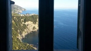 Blick aus einem Fenster auf eine Küstenlandschaft mit Wasser und Grün.