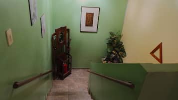 A staircase with green walls, a wooden chair, and a potted plant.