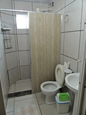Hair dryer, bidet, towels