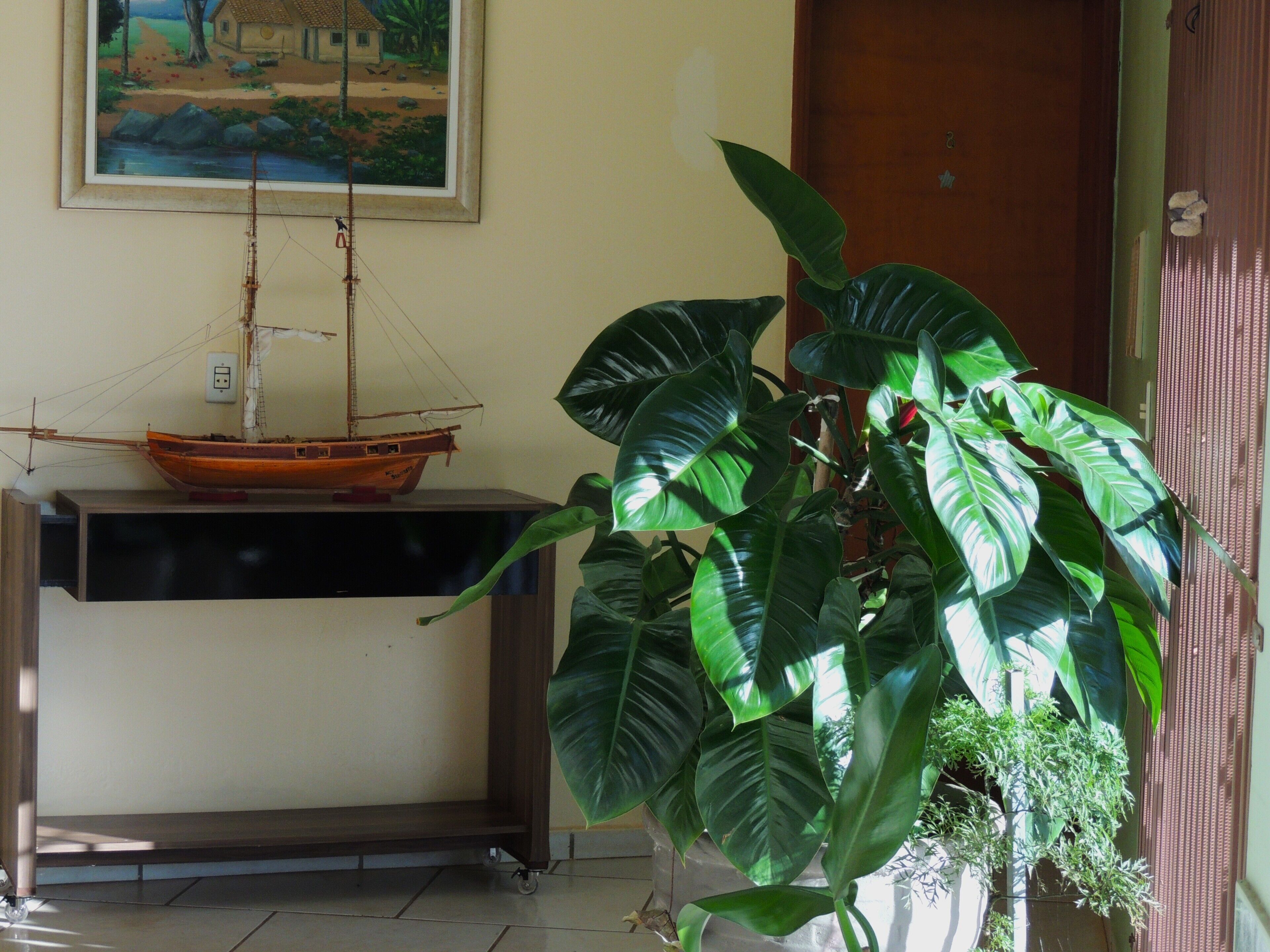 A room with a model ship on a shelf, a large green plant, and a painting on the wall.