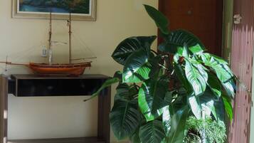 A room with a model ship on a shelf, a large green plant, and a painting on the wall.