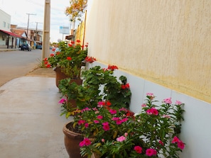 Una fila de macetas con flores a lo largo de una acera.