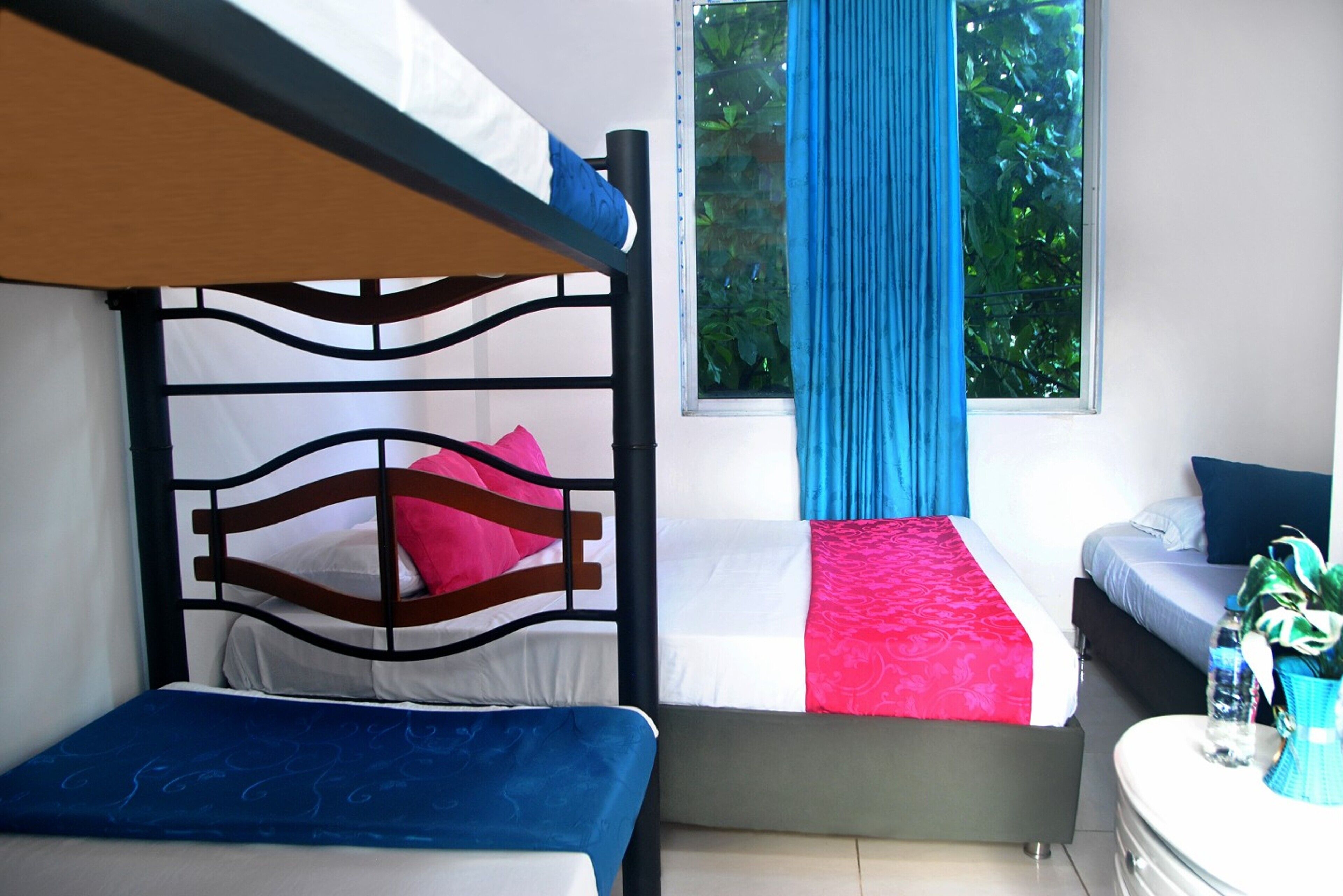 A room with a bunk bed, a single bed, and a bedside table with a plant.