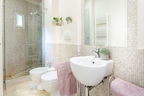 Shower, hair dryer, bidet, towels