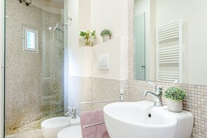 Shower, hair dryer, bidet, towels