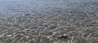 F3 apartment, separate annex, sea and garden view.