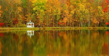 Property grounds. NEW!! 5 Star Gated Community. Wifi, Games, Fire Pit, 5 Smart TVs, Towels/Linens!