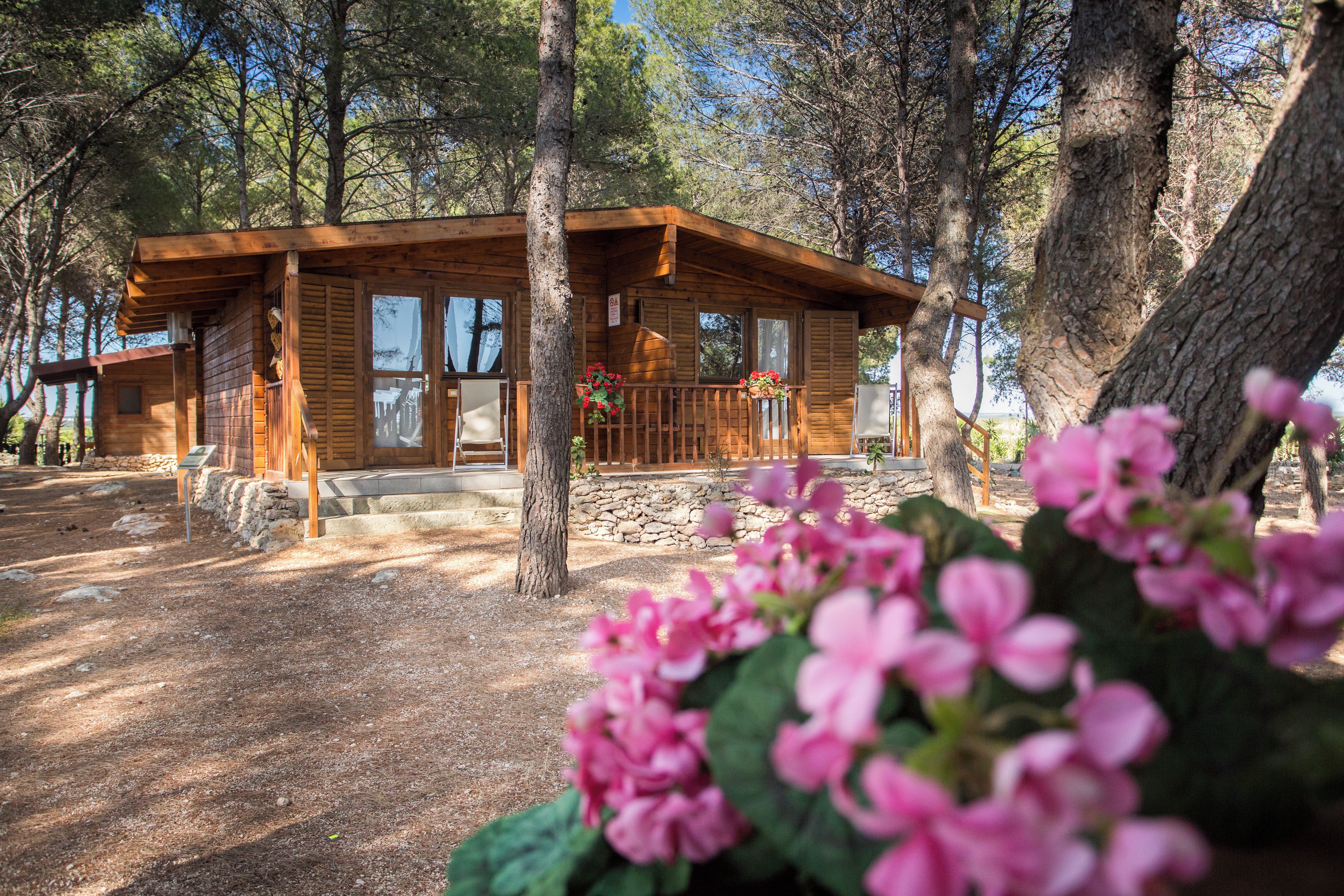 Une cabane en bois, construite sur des fondations en pierre et entourée d’arbres.