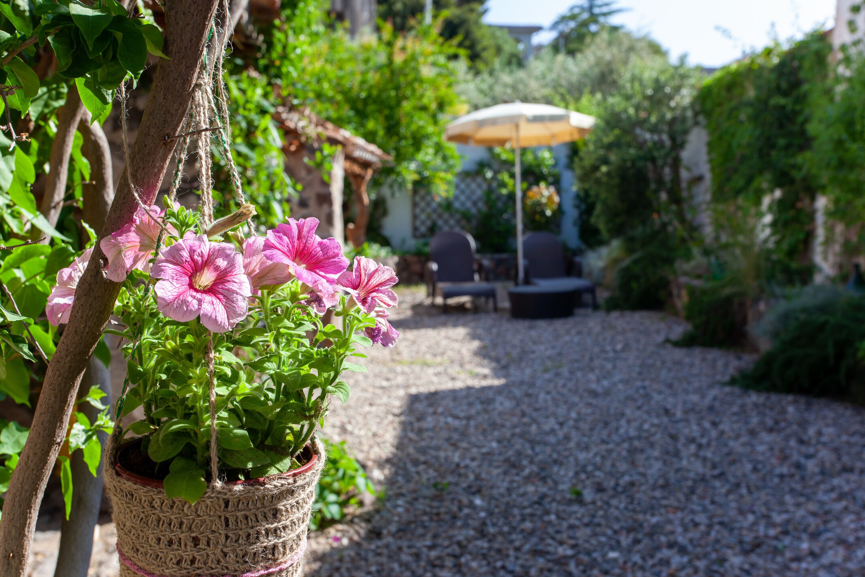 Áreas de la propiedad