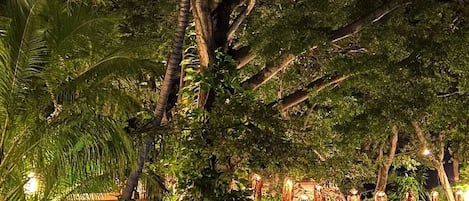 Alberca al aire libre
