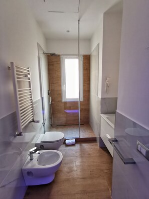 Dusche, Whirlpool, Haartrockner, Bidet