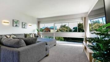 Flat-screen TV, Netflix, streaming services, stereo