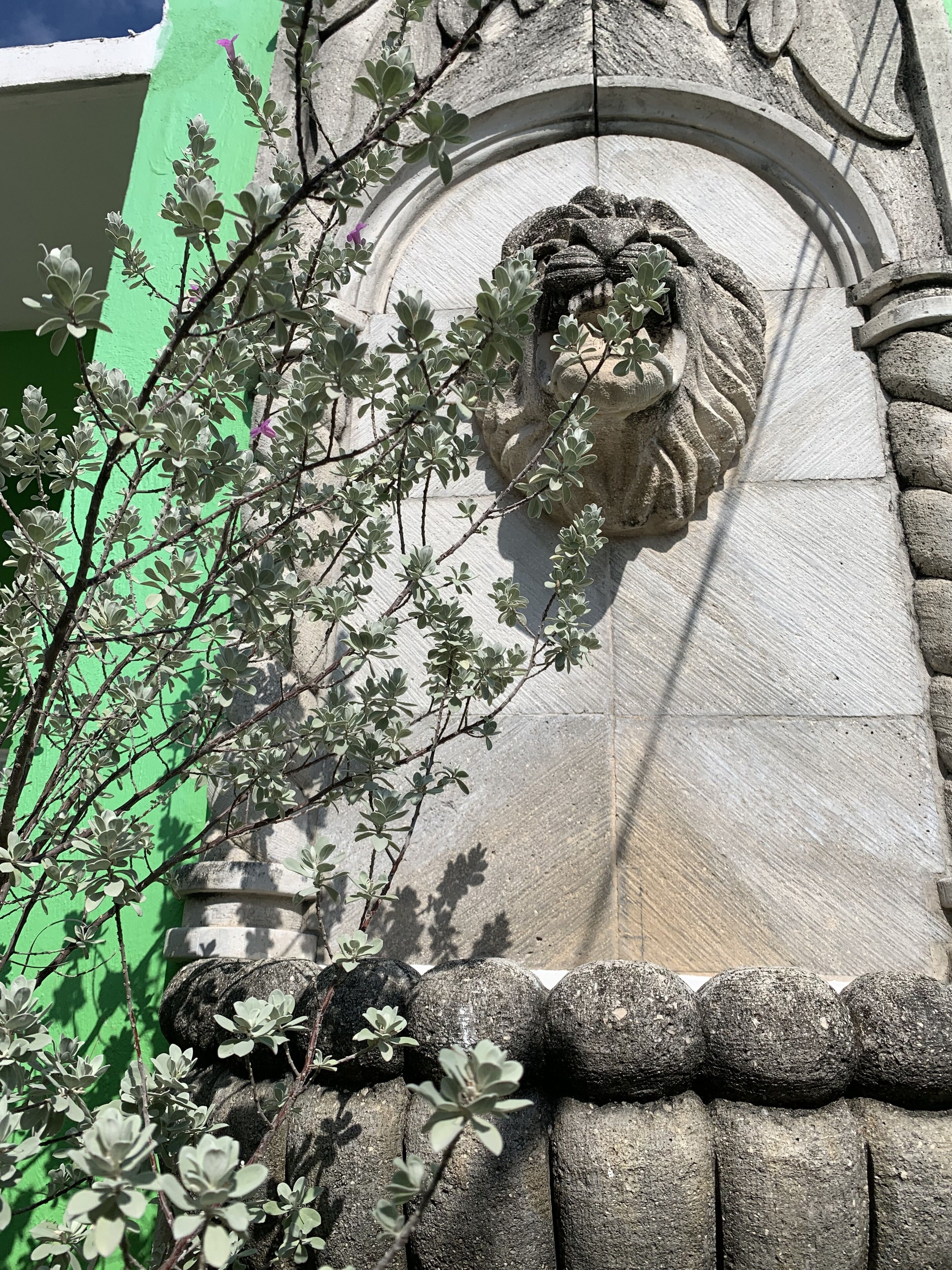 Foto - Villa Leo Cancún Downtown