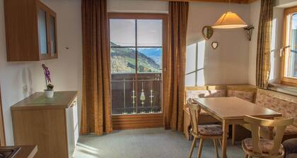 Appartement Ă Mittersill prĂšs de KitzSki
