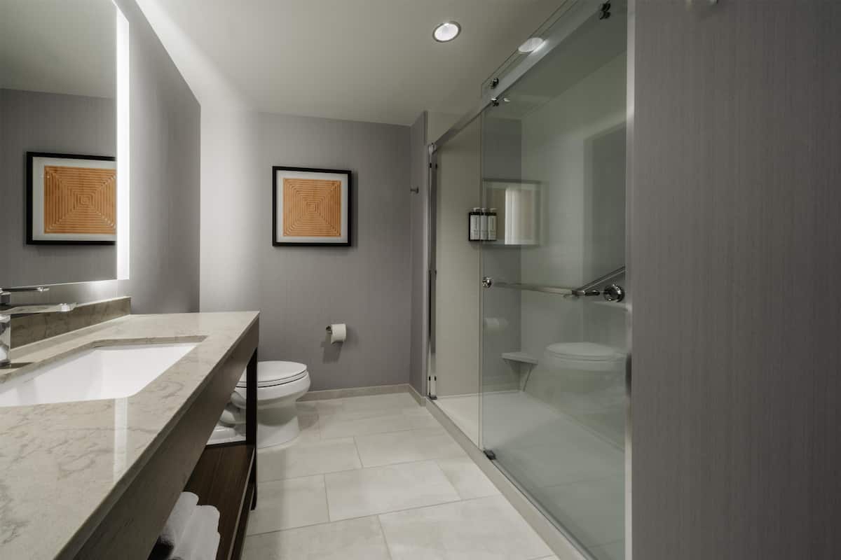 Rainfall showerhead, hair dryer, towels, soap