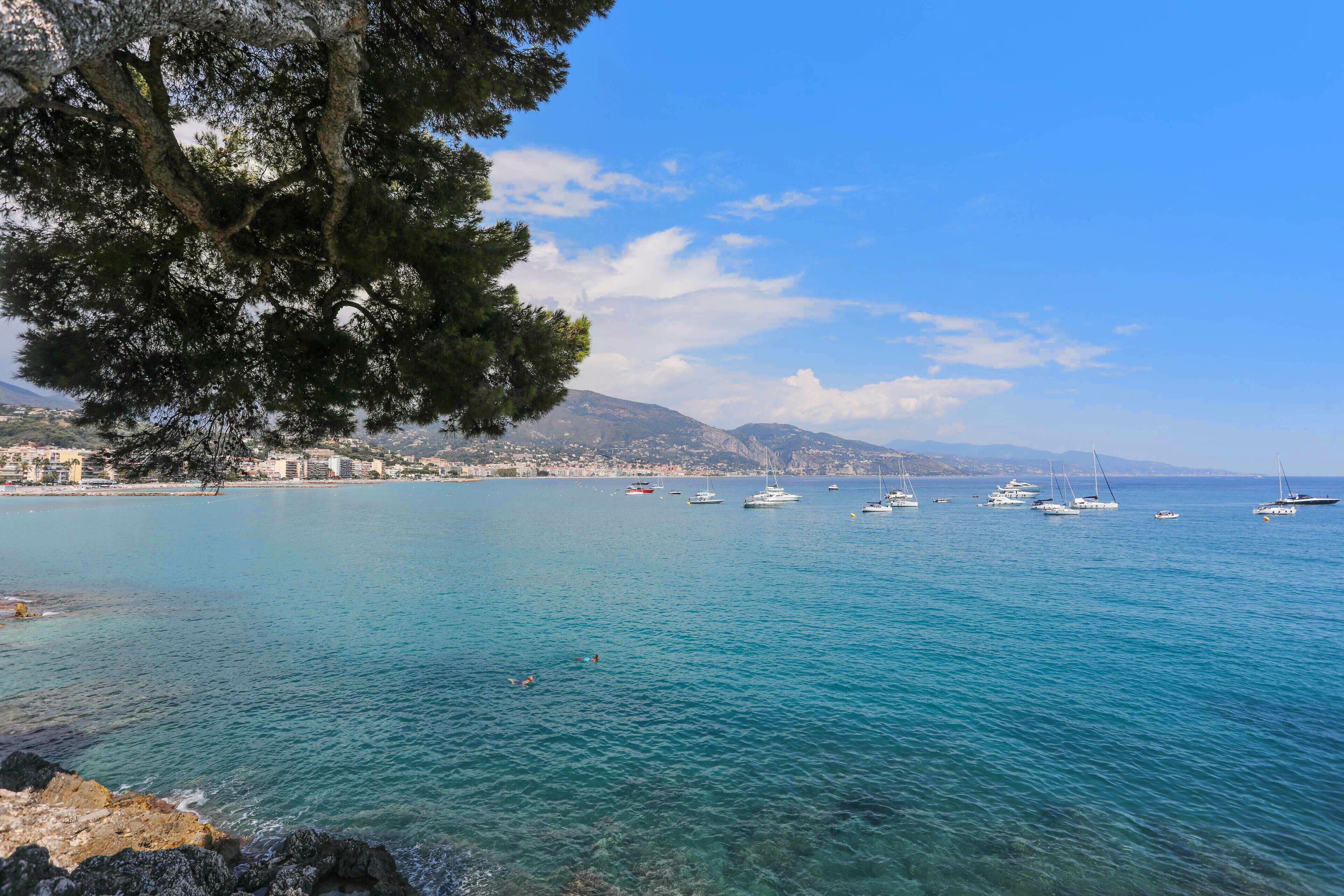 Paesaggio costiero con acqua turchese cristallina, imbarcazioni e un albero.