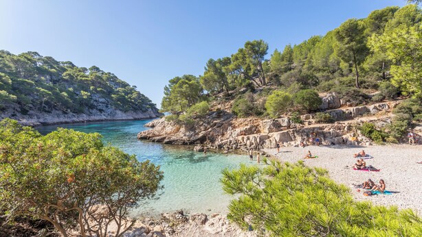 A beach with clear turquoise water, rocky cliffs, and dense green trees. - Résidence Pierre & Vacances Cap Cassis Calanques (Roquefort-la-Bedoule)