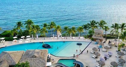 Suites Diamond Paradise