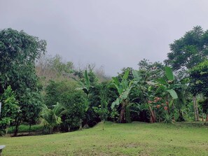 Chambre Deluxe | Vue de la chambre