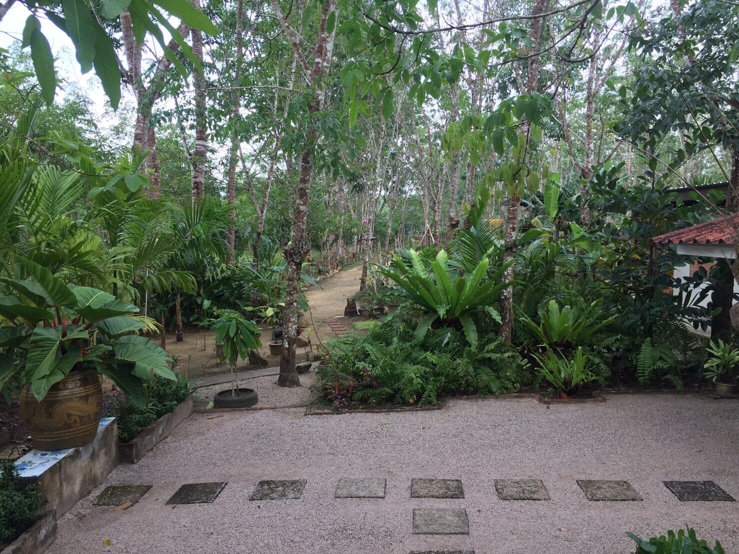 A garden pathway surrounded by lush greenery and trees.