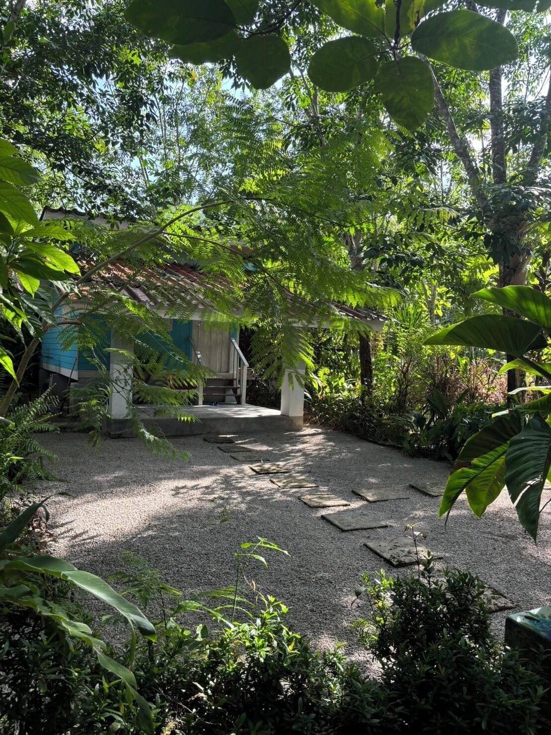 Rom – superior, 1 soverom, utsikt mot høyde | Utsikt fra rommet