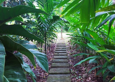 Exterior. Baansuan Suksangob Farm Stay
