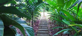 バーンスワン・スクサンゴブ・ファームステイ