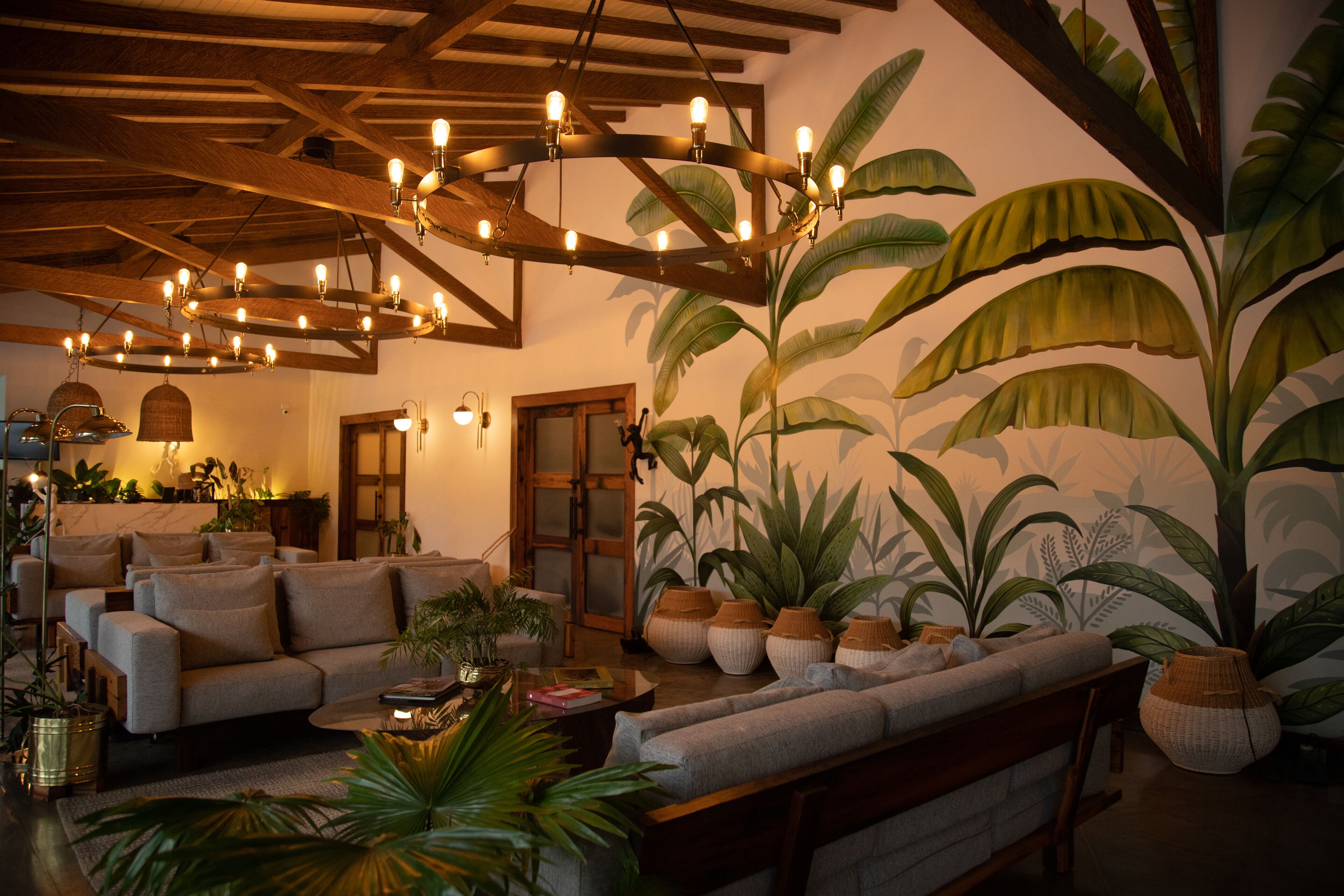 Una sala de estar acogedora con sofá, mesa de centro y plantas en macetas.