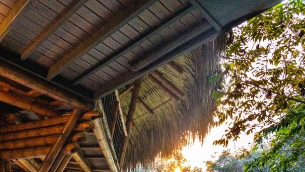 A hot spring area with a wooden structure and lush greenery. - El Río Hotel (Sonson)