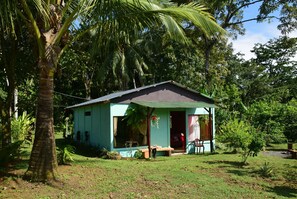 Exterior - Come stay in the middle of the forest and a great variety of fauna. (La Fortuna)