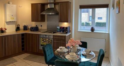 Exquisite Modern Homely Flat