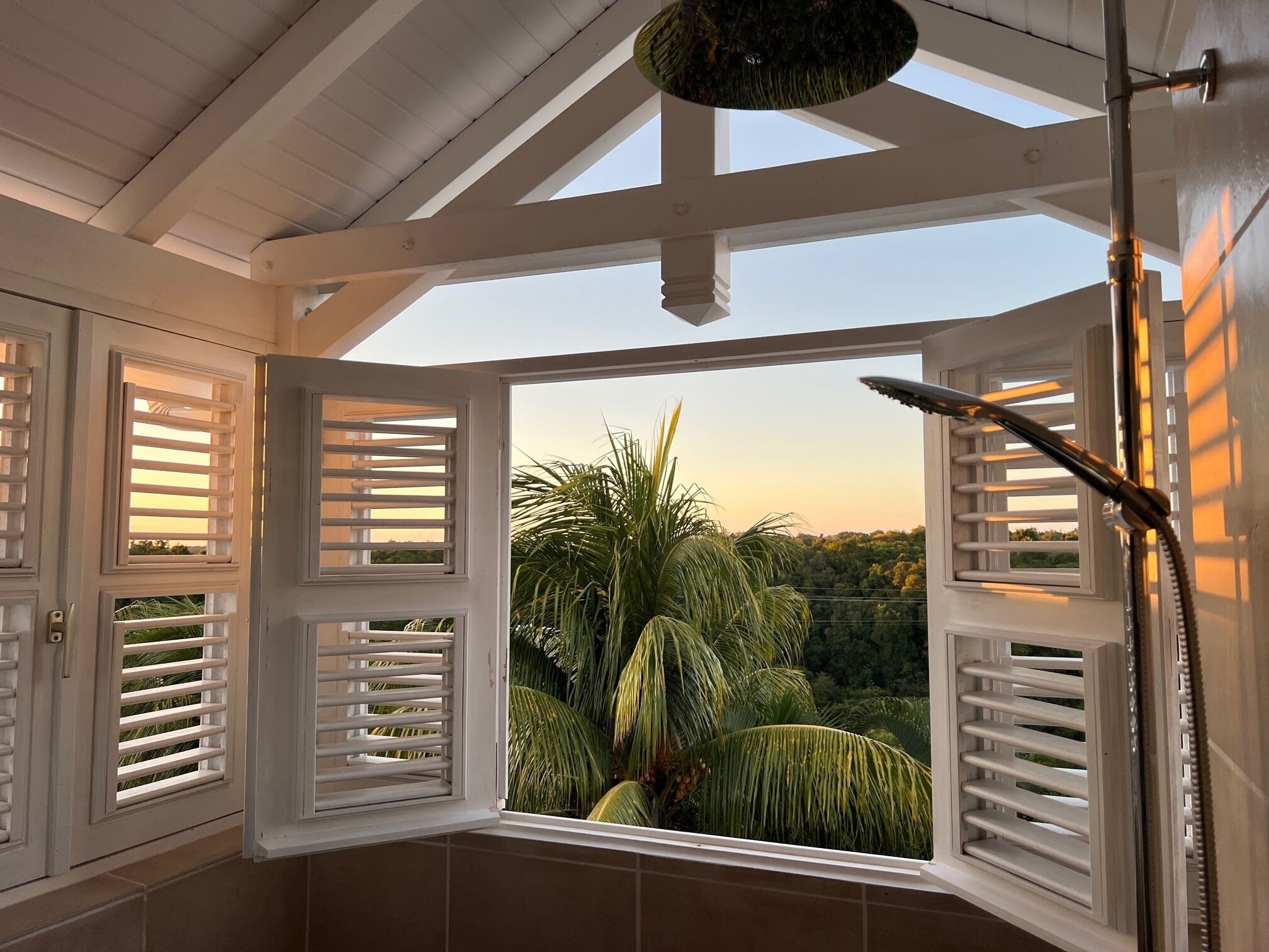 A room with a view of a lush garden, a ceiling fan, and a shower.