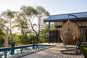 Outdoor pool, pool loungers - Rafiki Bush Lodge (Hoedspruit)
