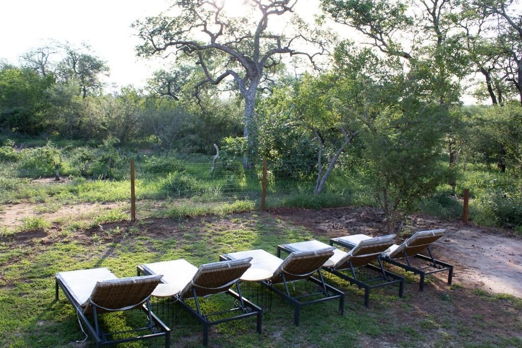 A row of outdoor lounge chairs with white cushions, arranged on a grassy area with a dirt path in the background and trees surrounding the space.