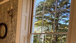 A room with a large window, ornate wallpaper, and a checkered armchair with a floral pillow. - Reymerston Hall (Norwich)