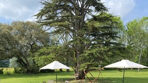 A patio with stone flooring, outdoor furniture, and umbrellas. - Reymerston Hall (Norwich)