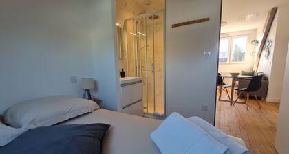 le Jaures 6 - T2 - Dernier Etage