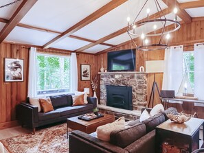 Smart TV, caminetto, impianto stereo, monitor per computer