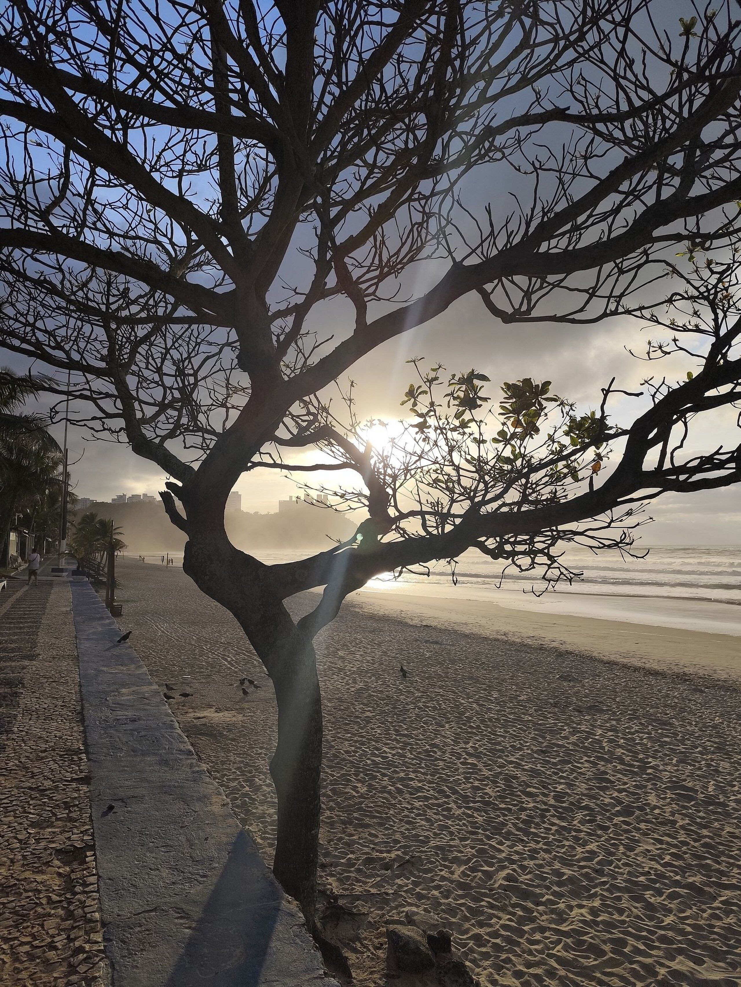 Apartment | Beach | On the beach, white sand, beach volleyball, 10 beach bars