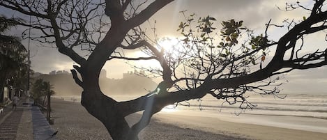 Leilighet | Strand | På stranden, hvit sand, sandvolleyball og 10 strandbarer