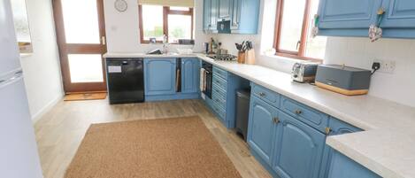 A modern kitchen with blue cabinets, a dishwasher, a stove, and a toaster.