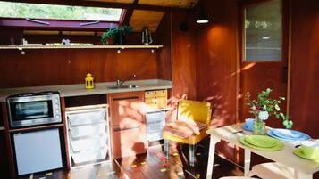 Fridge, microwave, stovetop, freezer
