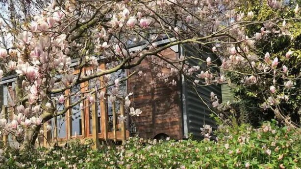 Un jardin avec un étang, des arbres en fleurs et un bâtiment en briques en arrière-plan.