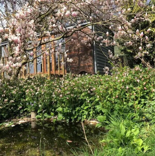 Property grounds - TINY HOME No.2 Railway Carriage with Stunning Views (Rowlands Gill)