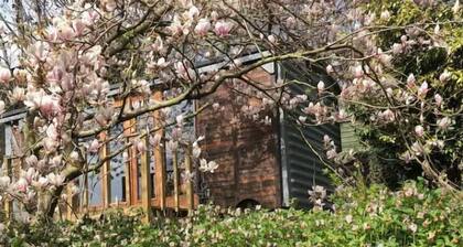 TINY HOME No.2 Railway Carriage with Stunning Views